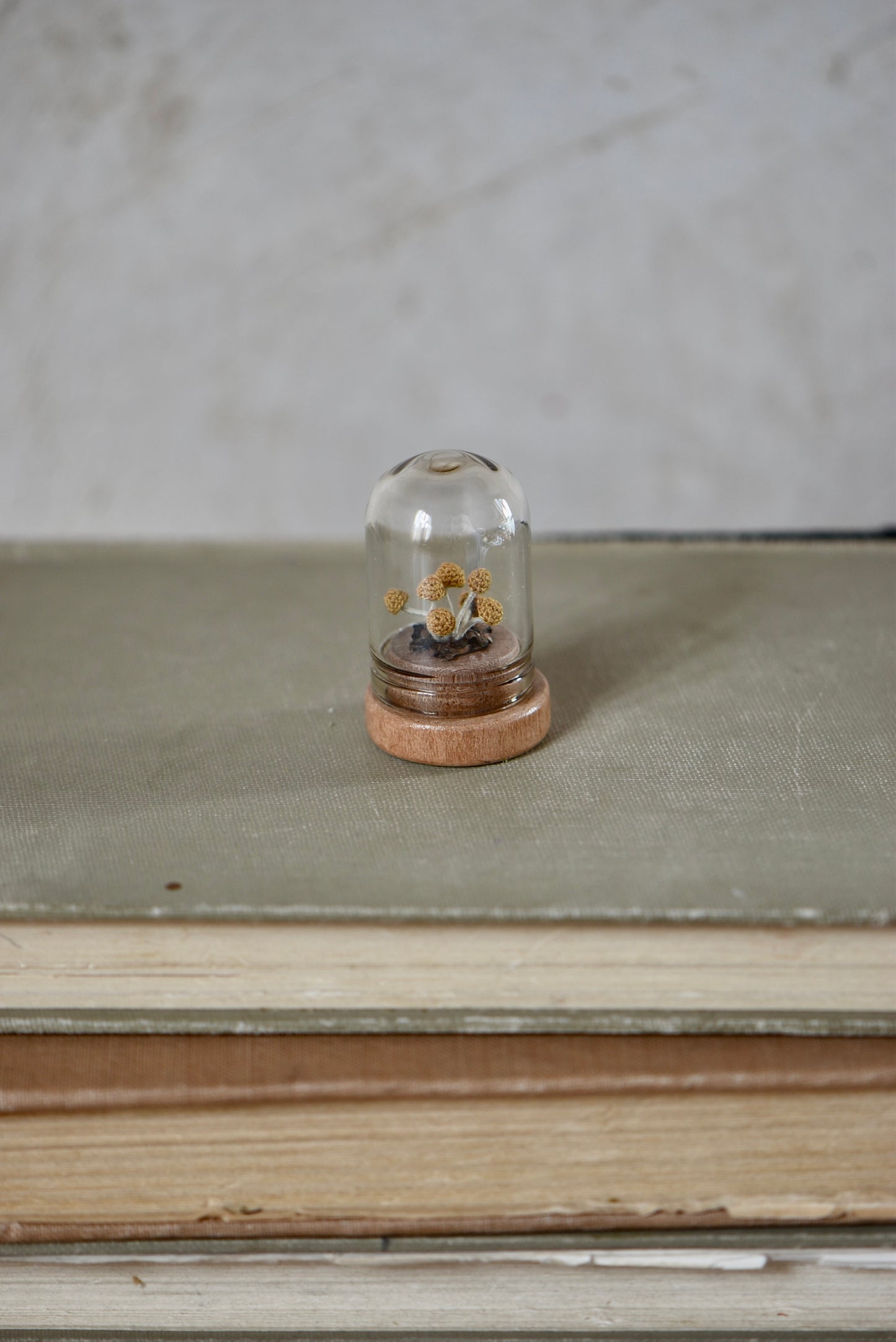 Hancrocheted Tiny Mushroom - By Tiny Bells of the Prairie