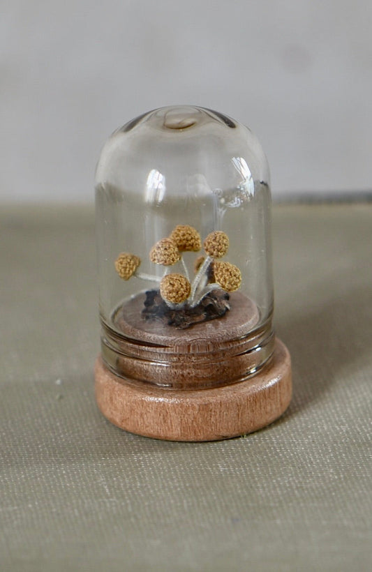 Hancrocheted Tiny Mushroom