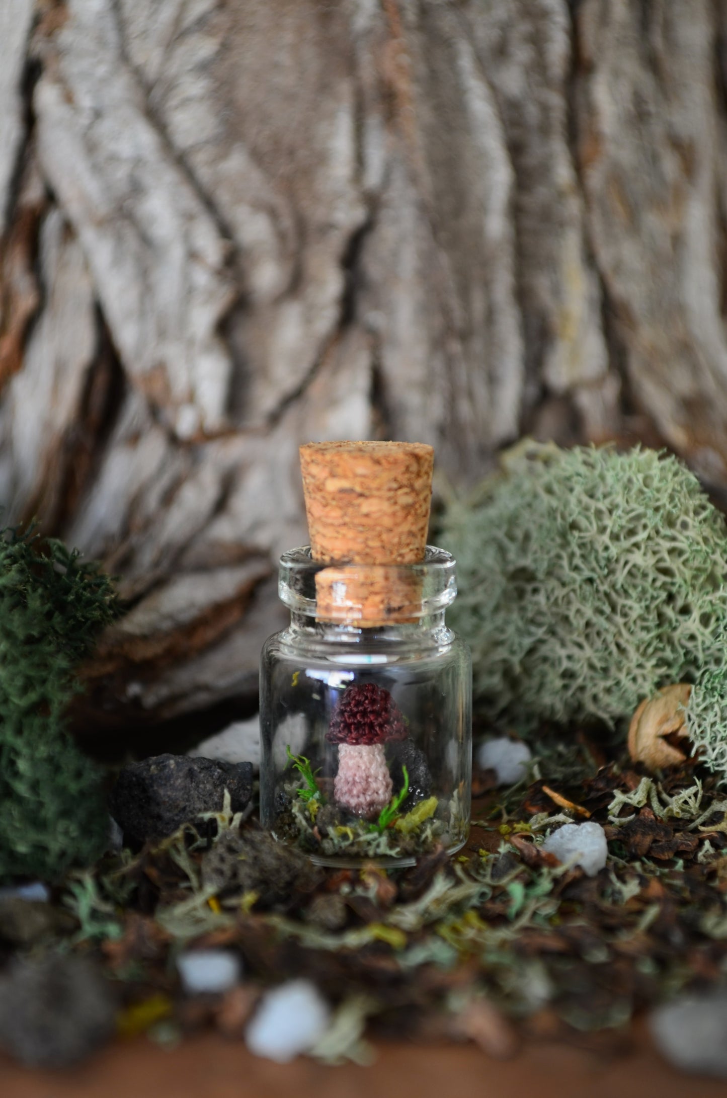 Hancrocheted Tiny Tiny Mushroom - By Tiny Bells of the Prairie