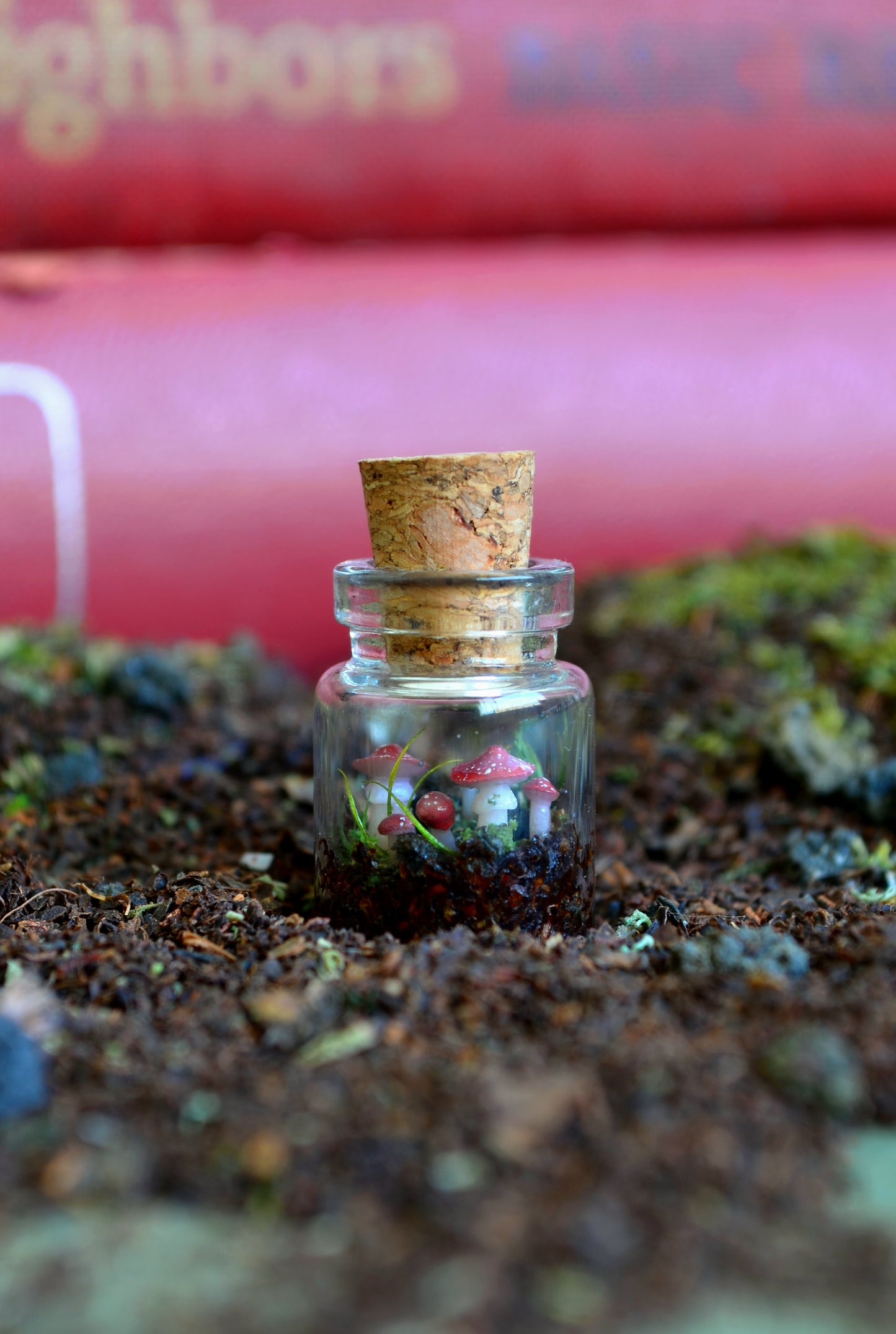Tiny Tiny Mushroom