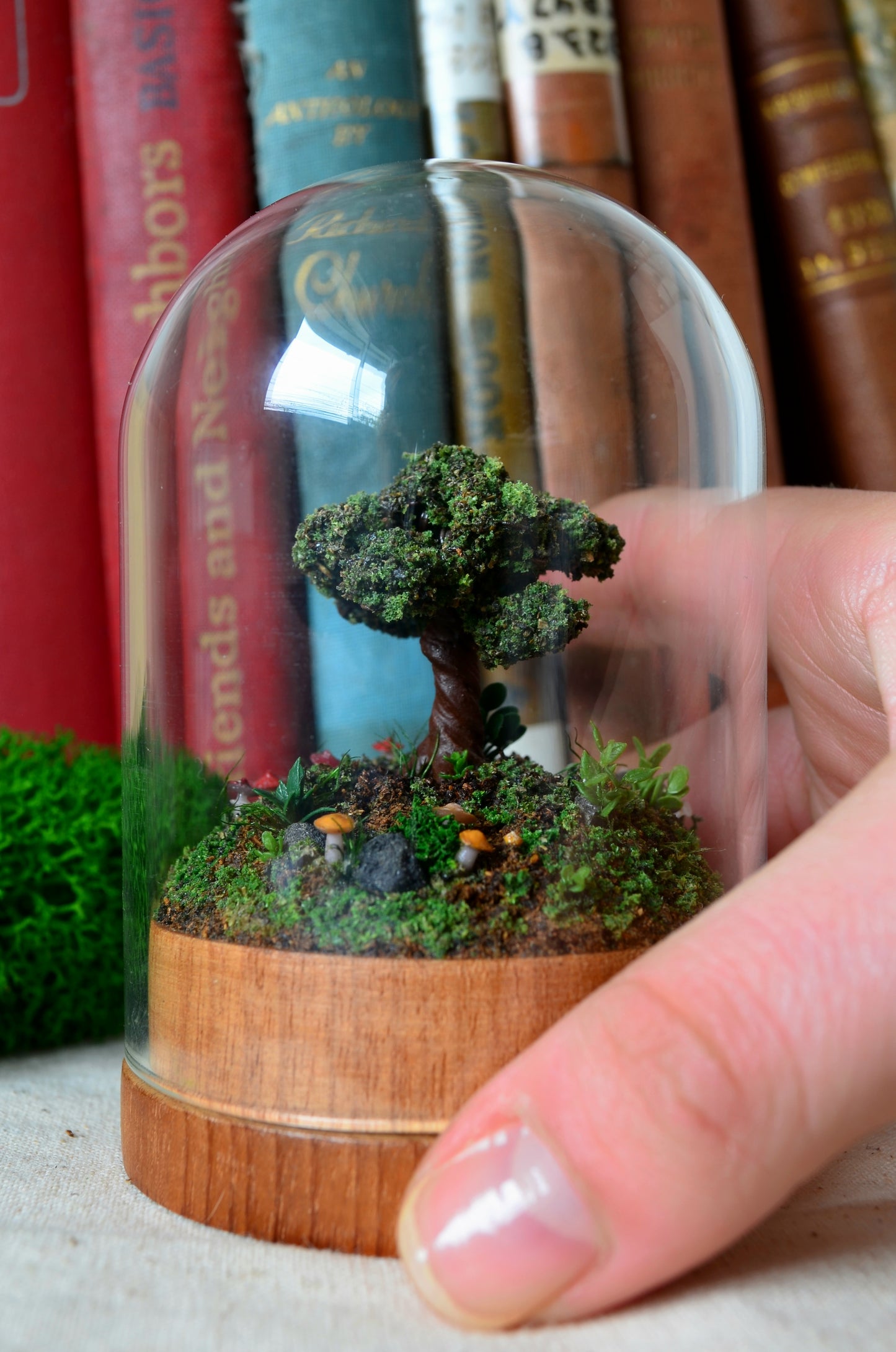 Diorama - Mushroom Sanctuary