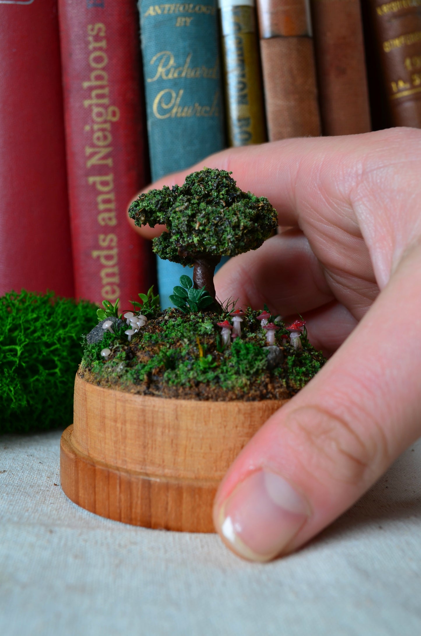 Diorama - Mushroom Sanctuary