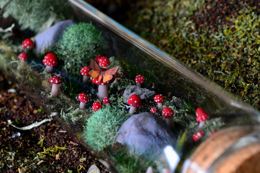 Scene: Woodland Floor