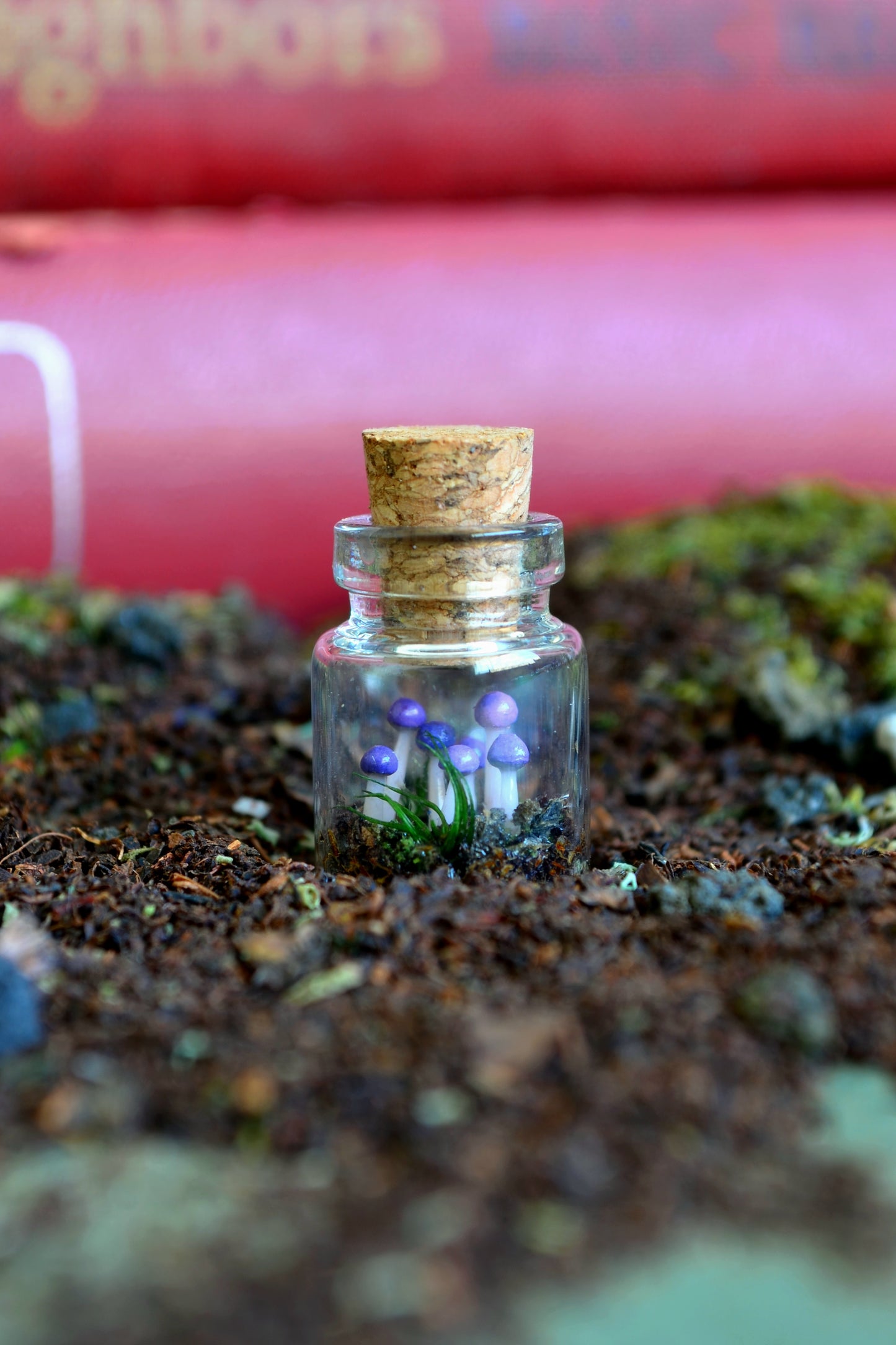 Tiny Tiny Mushroom