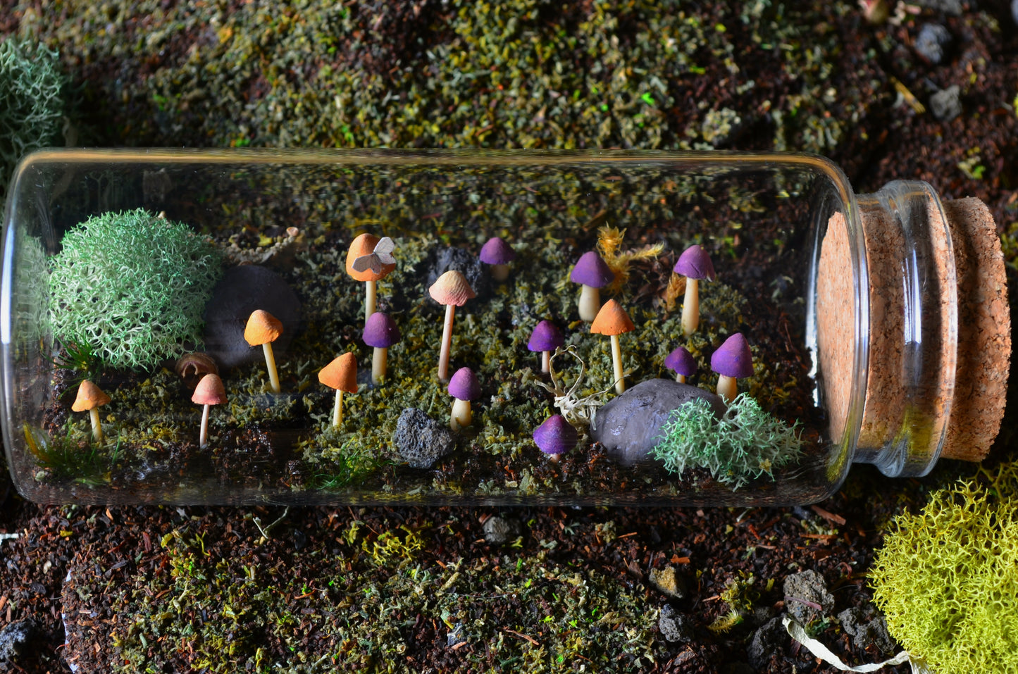 Scene: Woodland Floor