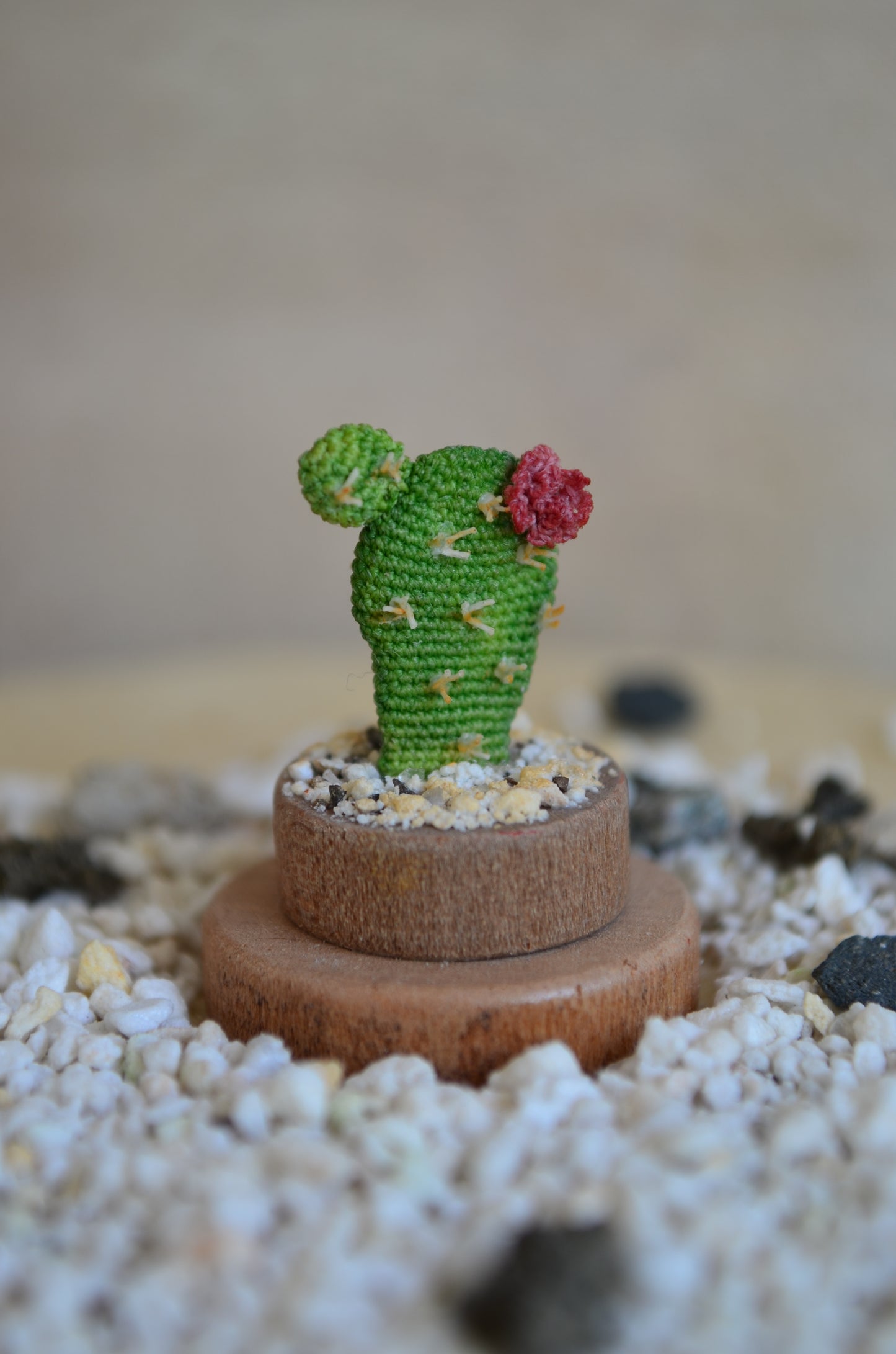 Tiny Opuntia Cactus – Micro Crochet - by Tiny bells of the prairie