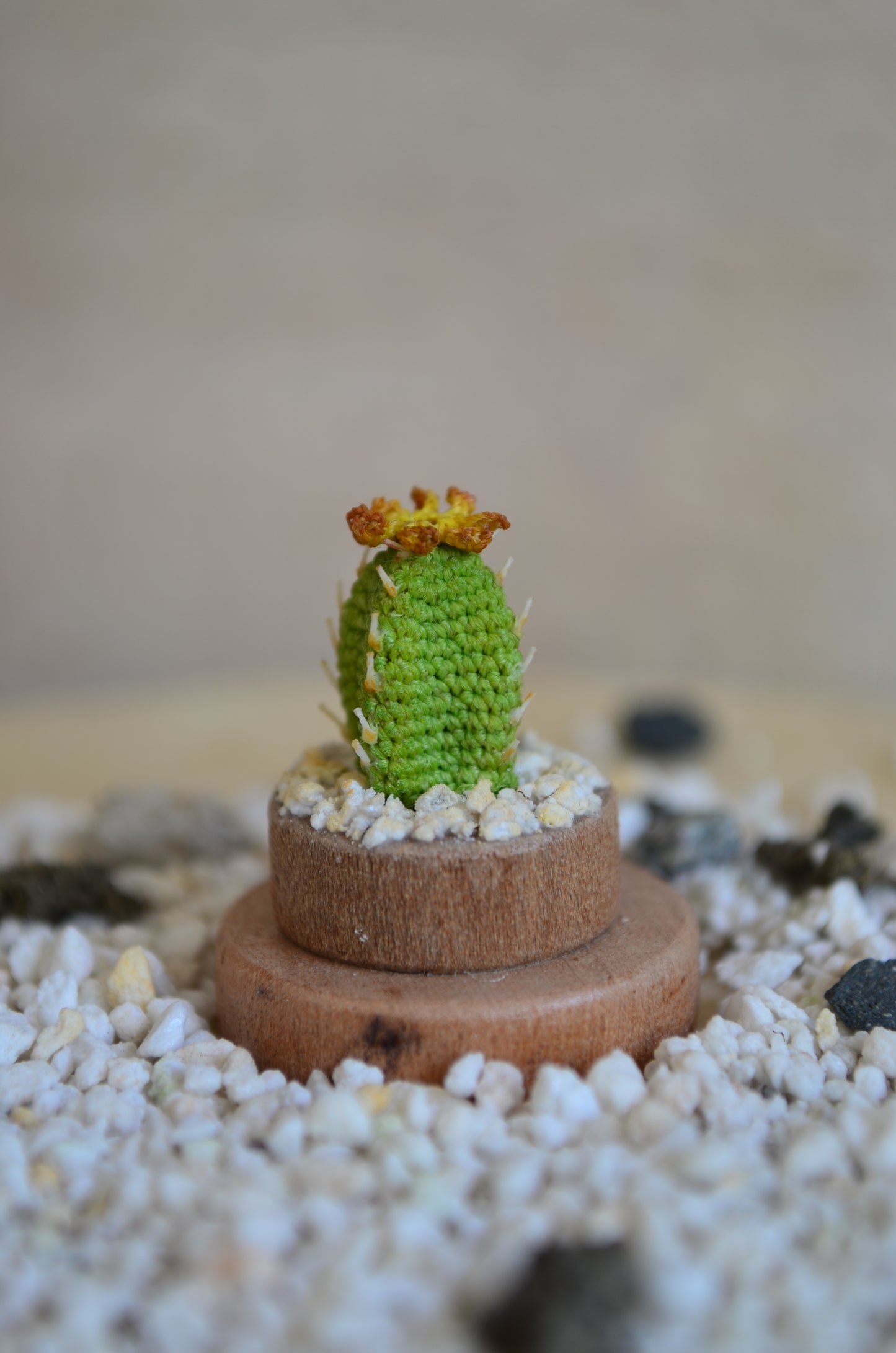 Mini Cactus – Micro Crochet - by Tiny bells of the prairie