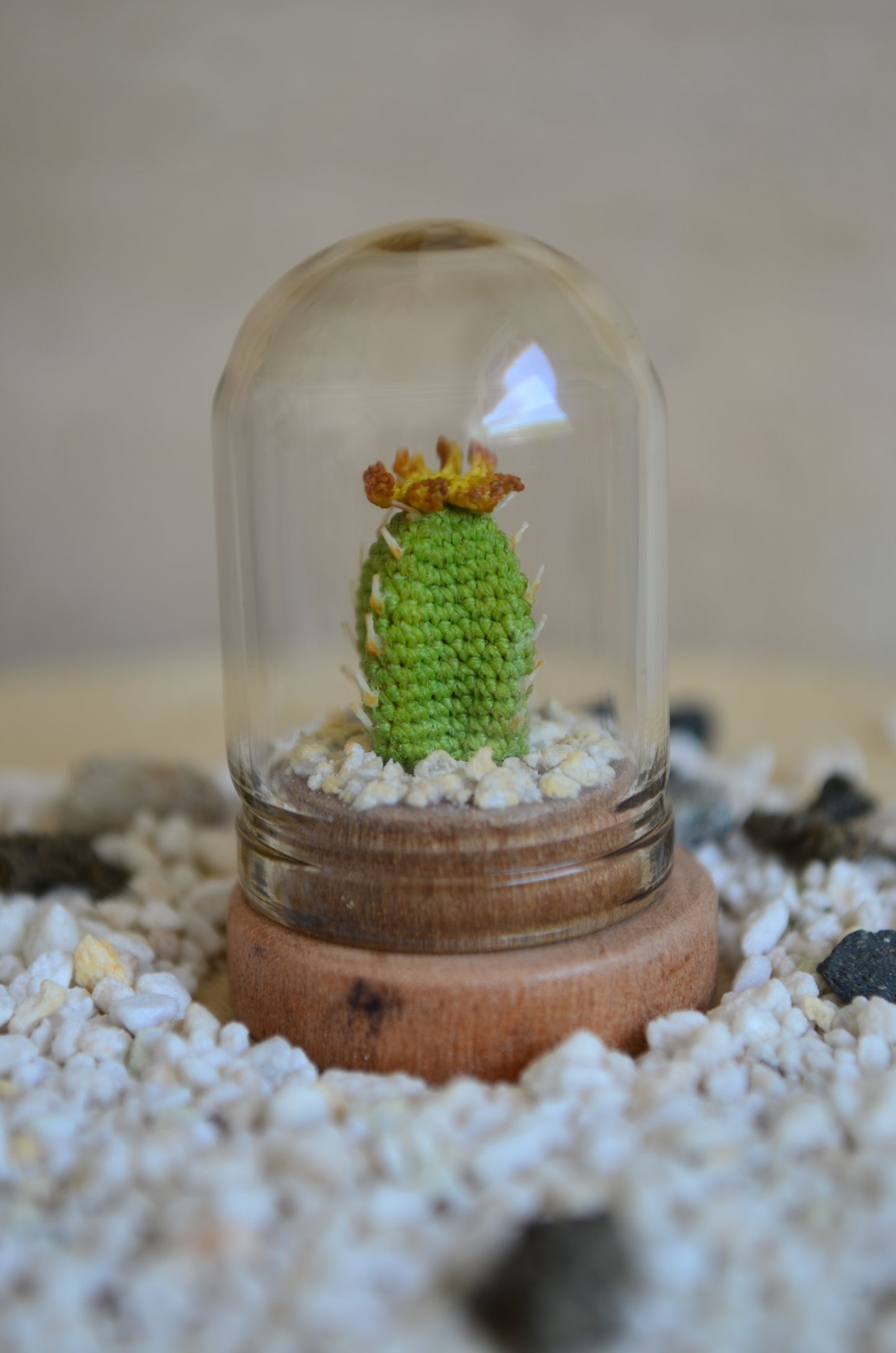 Mini Cactus – Micro Crochet - by Tiny bells of the prairie