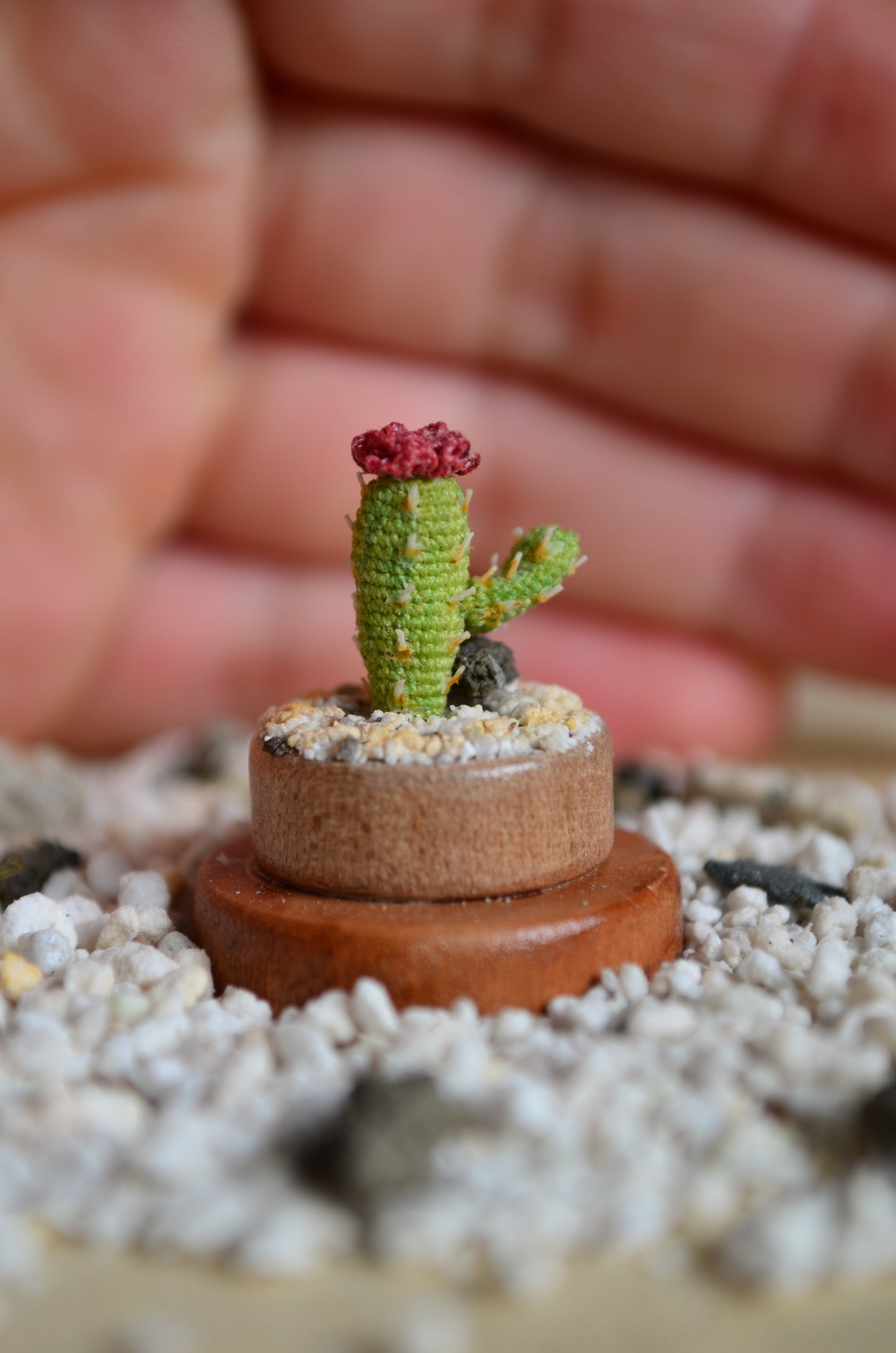 Mini Cactus – Micro Crochet - by Tiny bells of the prairie