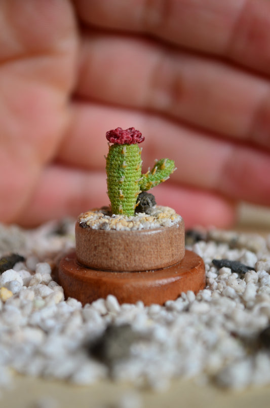 Mini Cactus – Micro Crochet - by Tiny bells of the prairie
