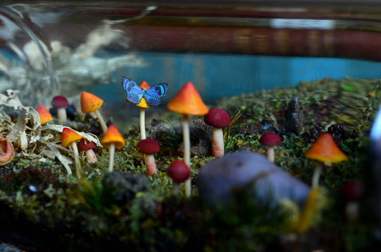 Scene: Woodland Floor