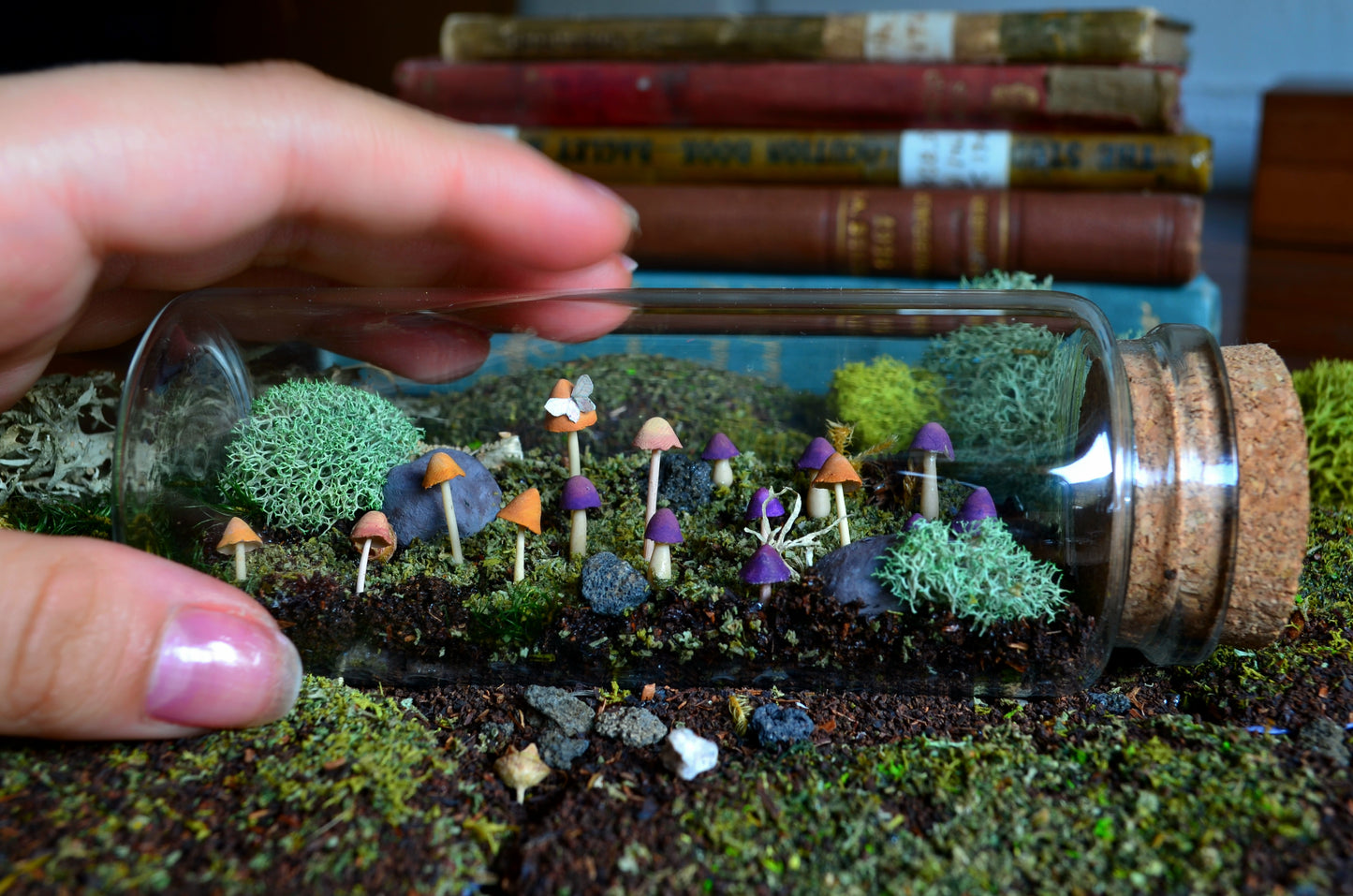 Scene: Woodland Floor