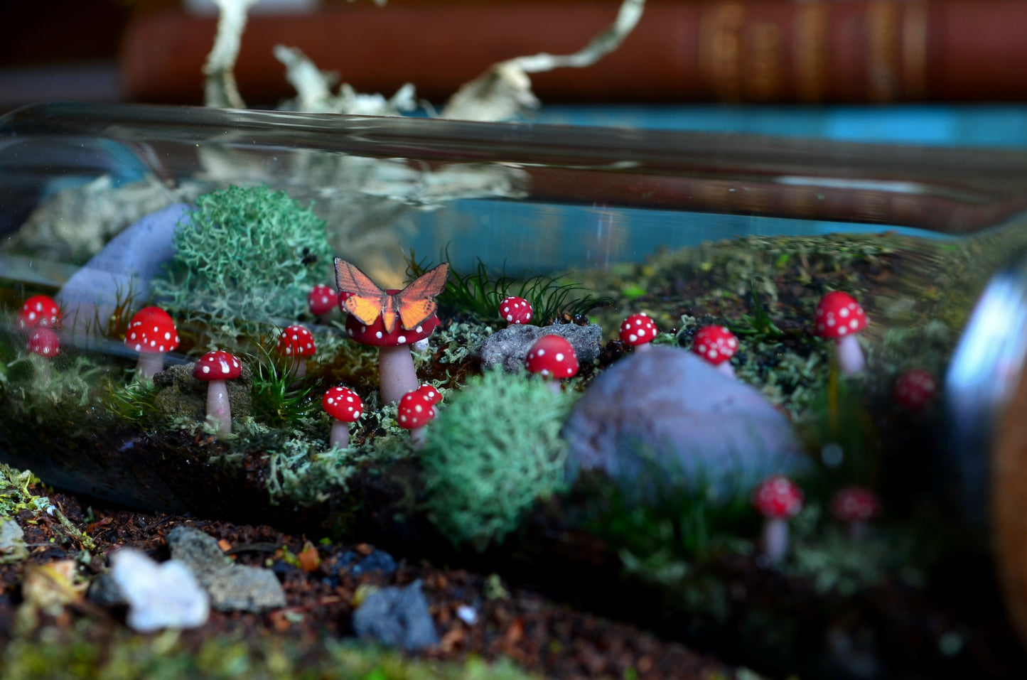 Scene: Woodland Floor