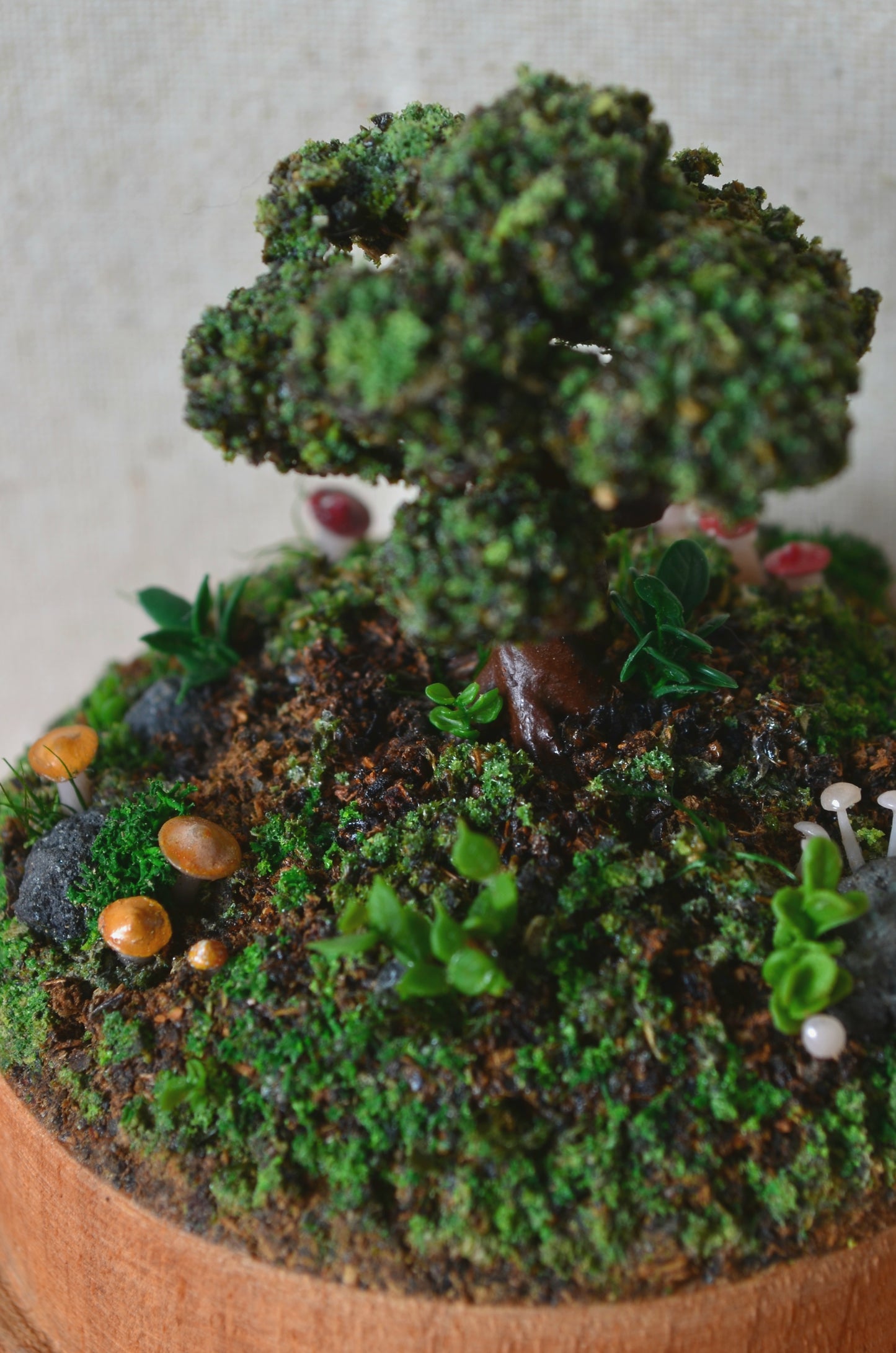 Diorama - Mushroom Sanctuary