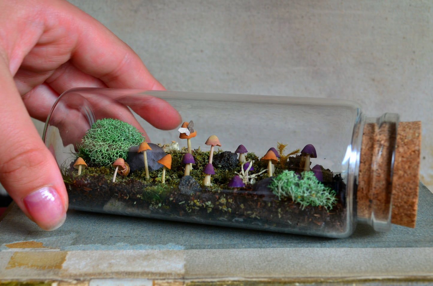 Scene: Woodland Floor