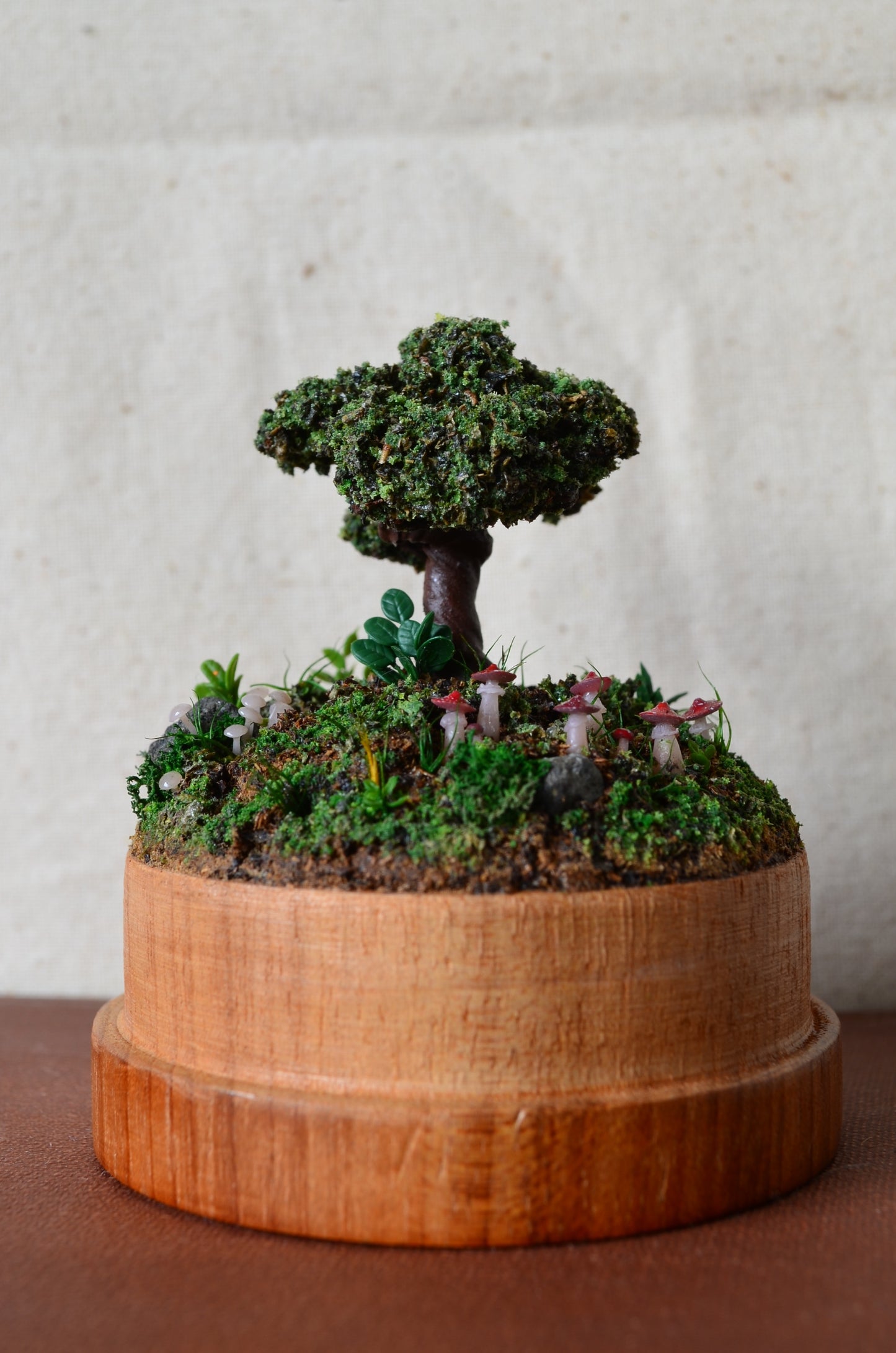 Diorama - Mushroom Sanctuary