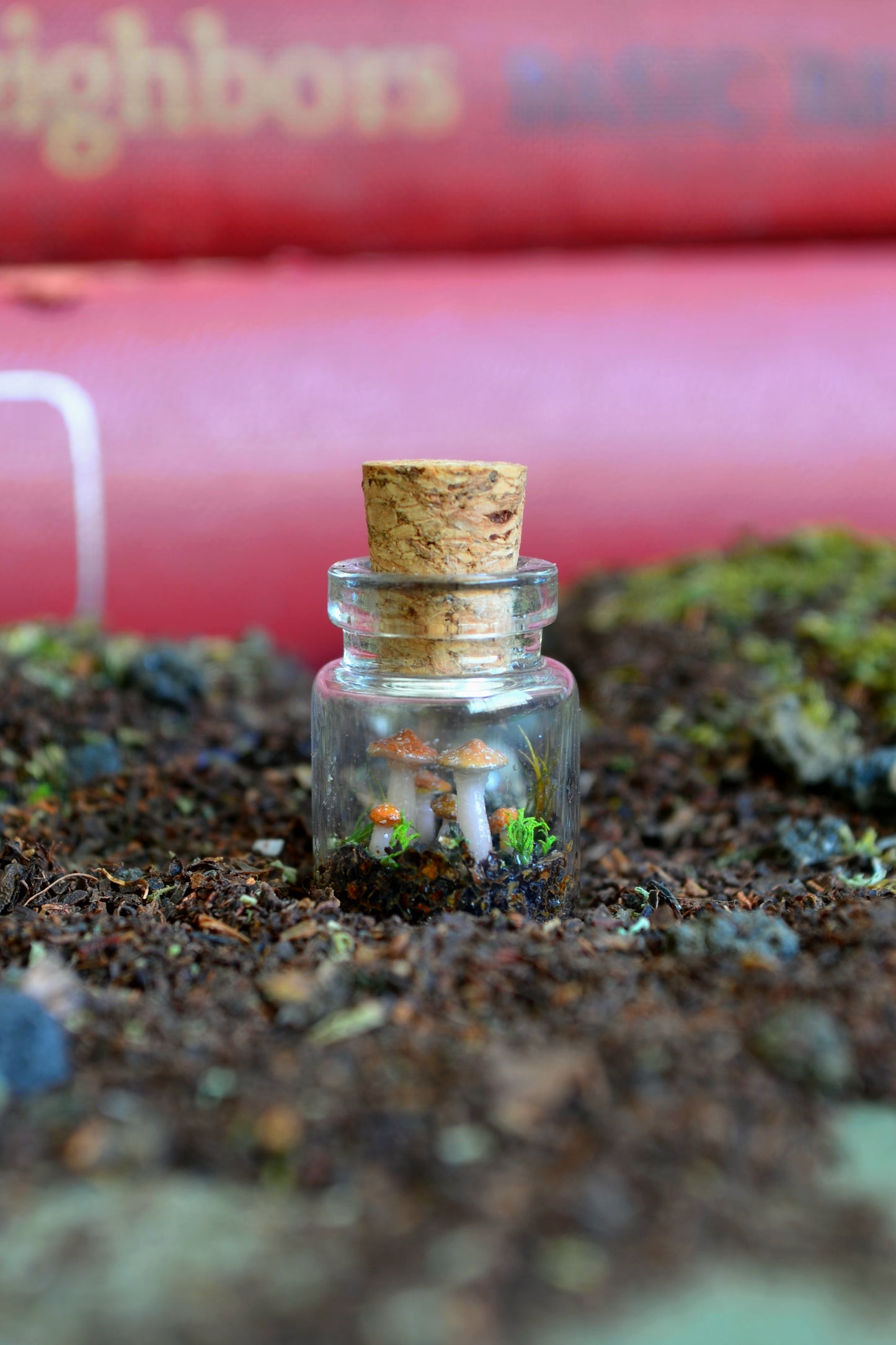 Tiny Tiny Mushroom