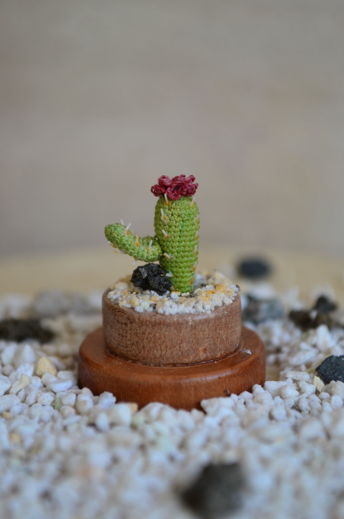 Mini Cactus – Micro Crochet - by Tiny bells of the prairie