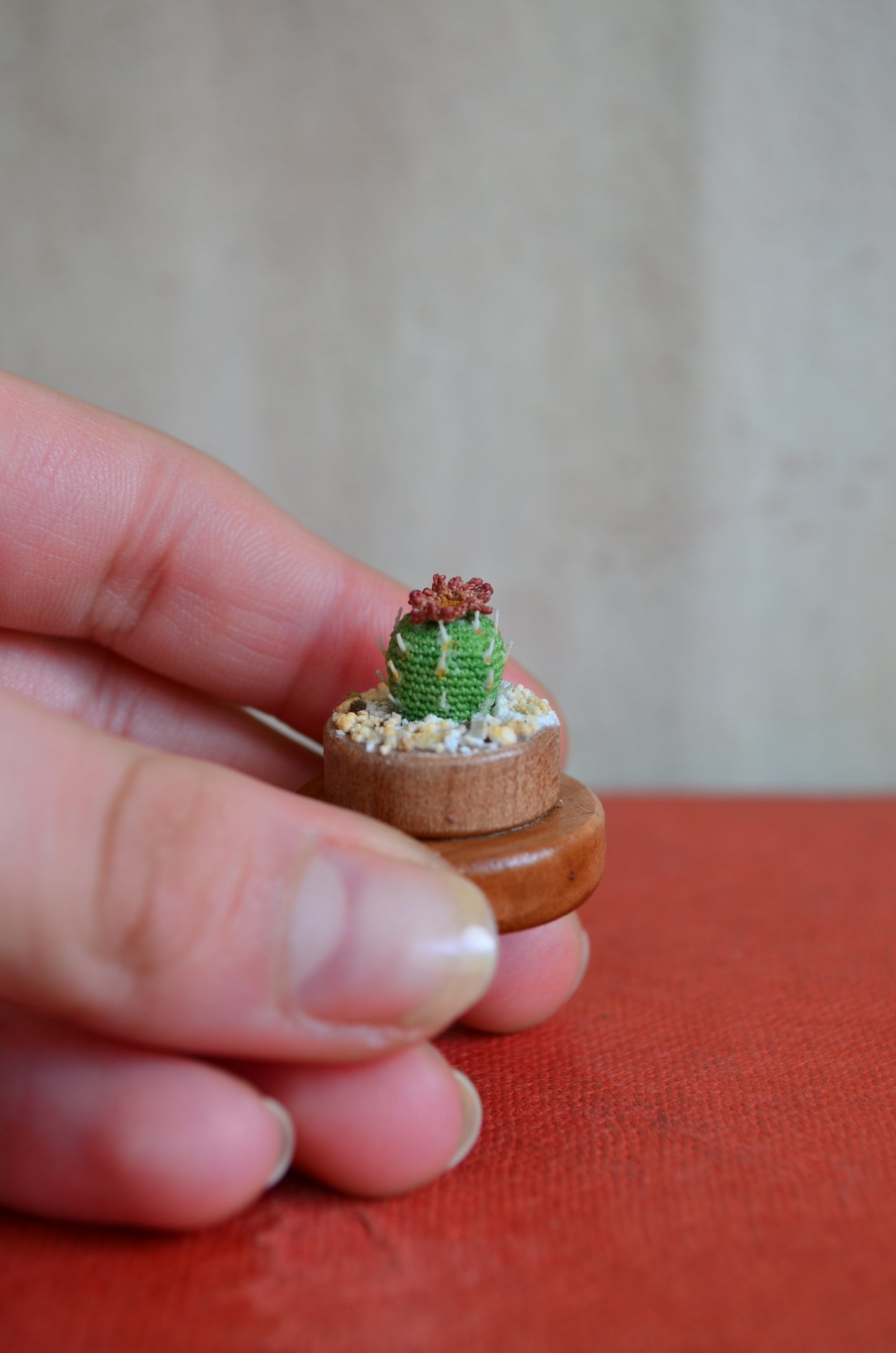 Mini Cactus - by Tiny bells of the prairie