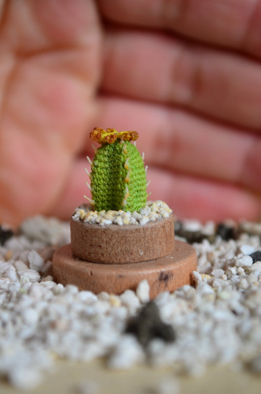 Mini Cactus – Micro Crochet - by Tiny bells of the prairie