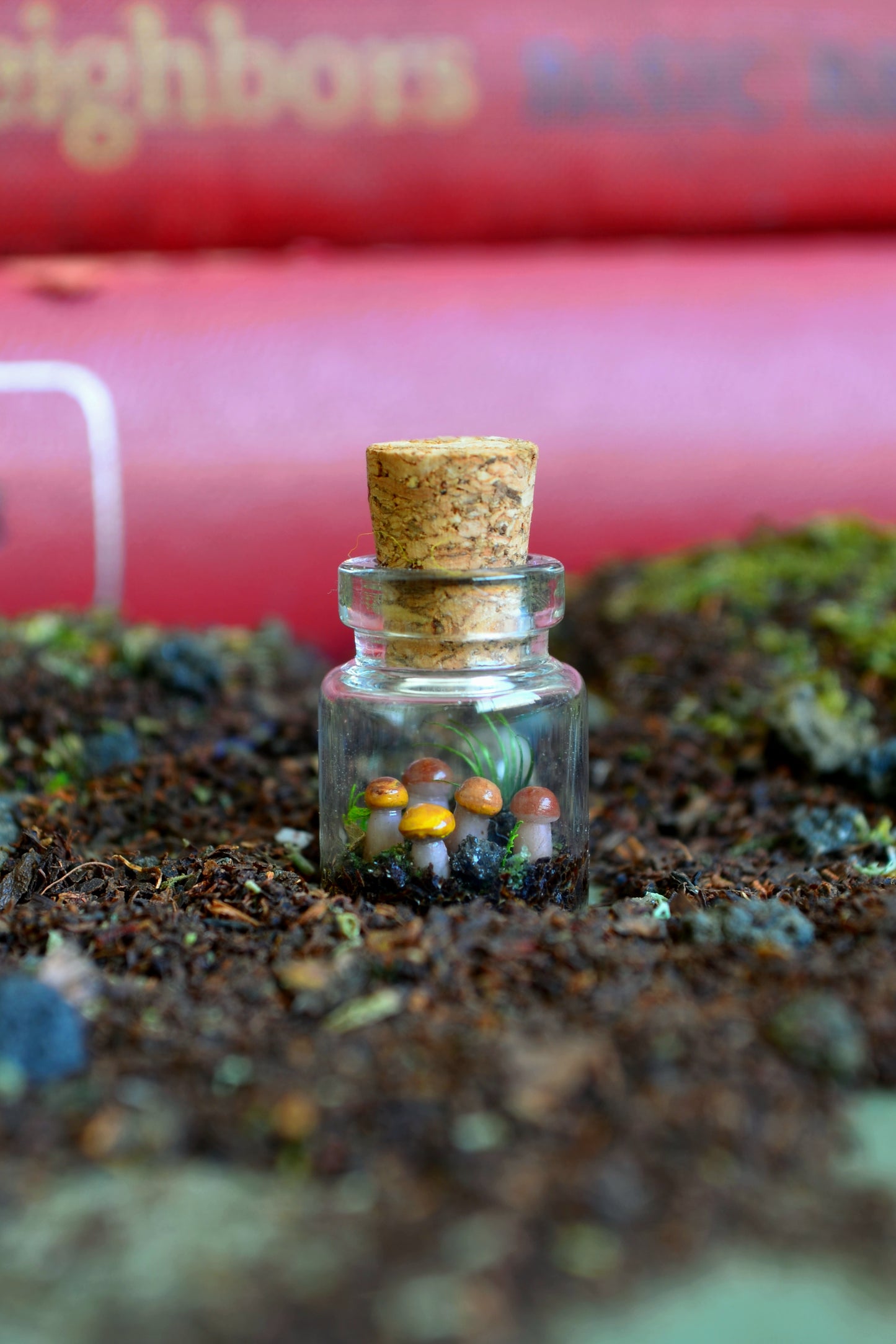 Tiny Tiny Mushroom