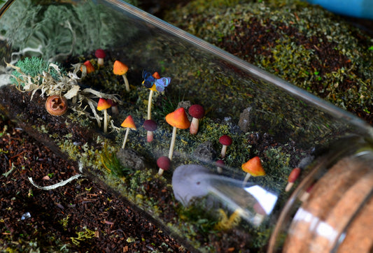 Scene: Woodland Floor