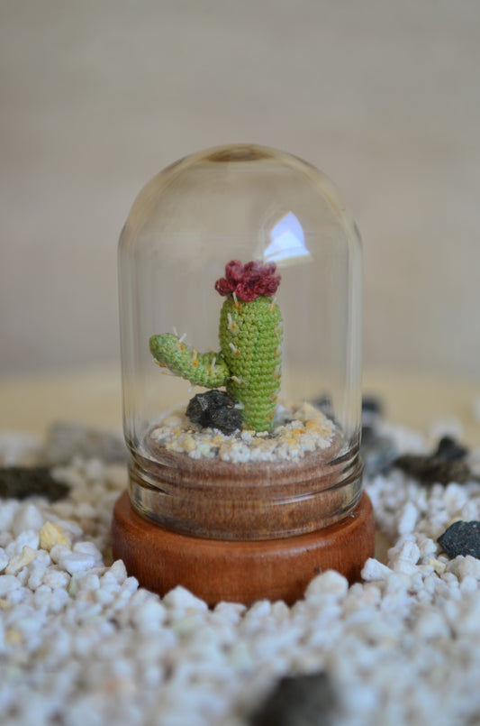 Mini Cactus – Micro Crochet