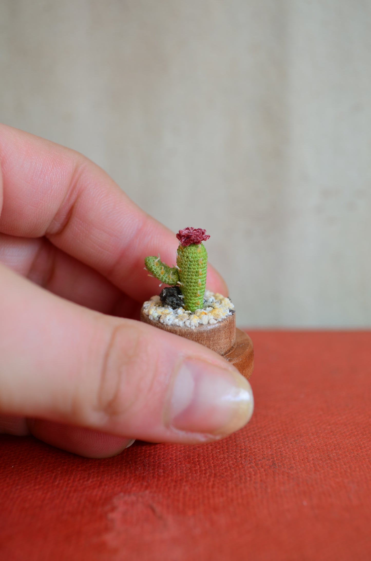 Mini Cactus – Micro Crochet - by Tiny bells of the prairie