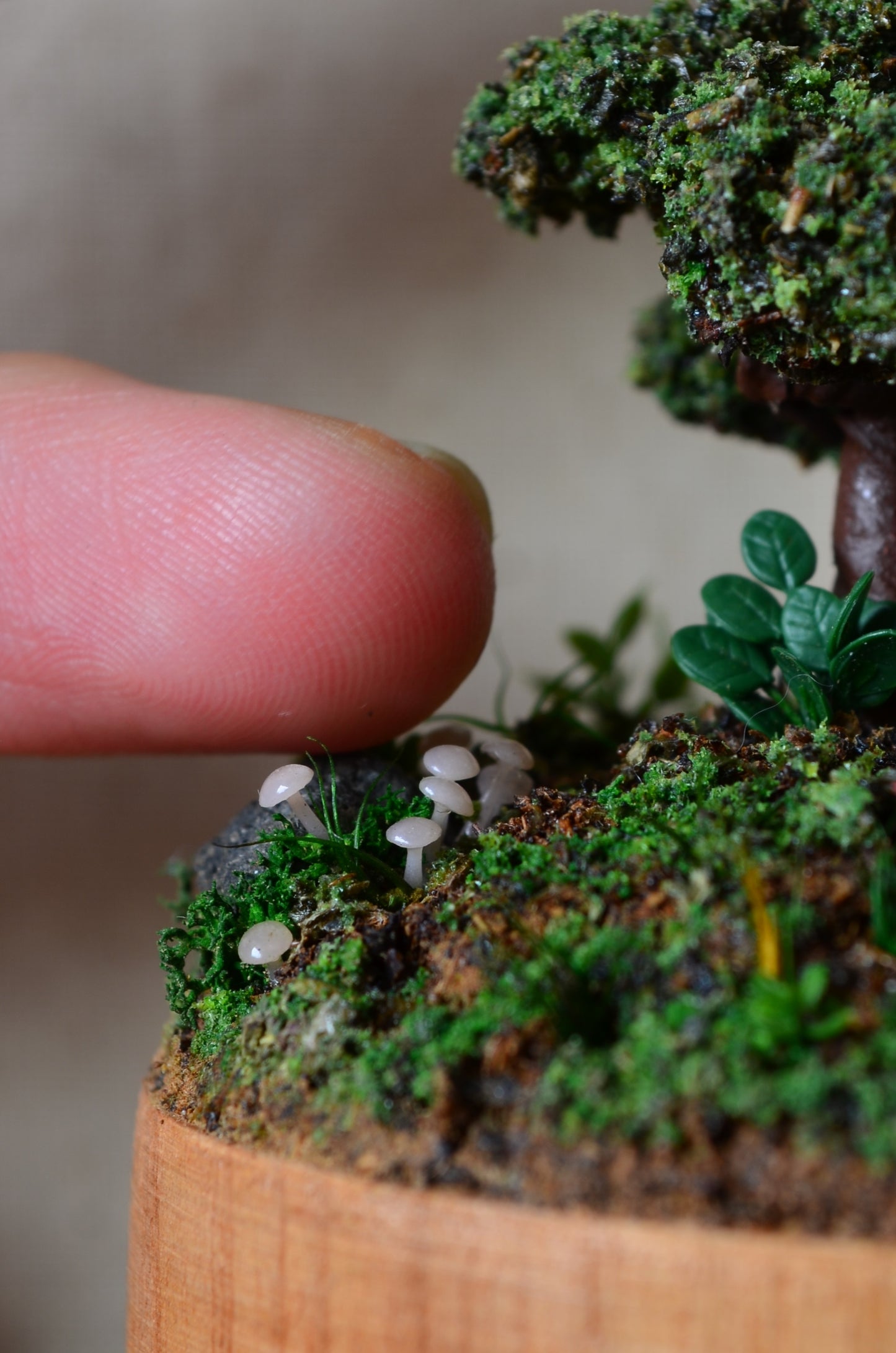 Diorama - Mushroom Sanctuary