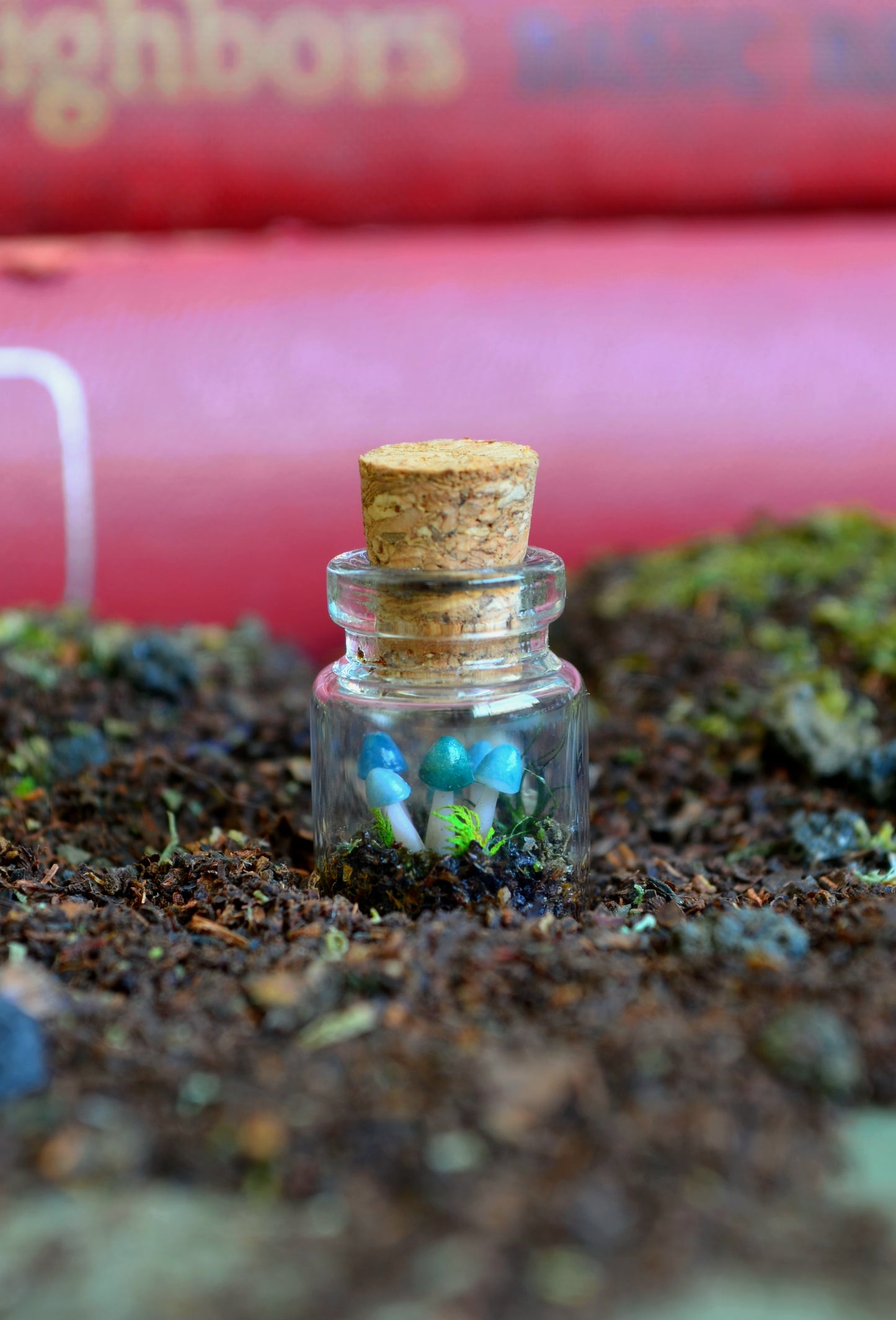 Tiny Tiny Mushroom