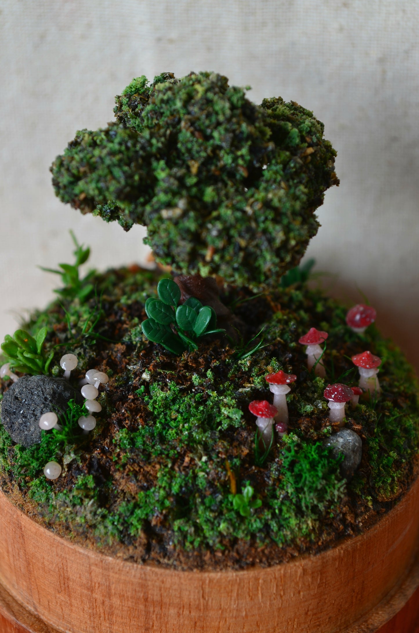 Diorama - Mushroom Sanctuary